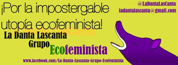 ______Venezuela_ECOfeministas